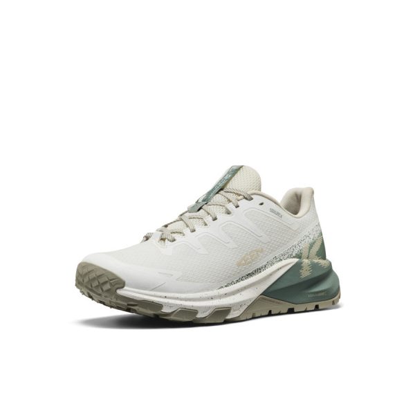 Men's Targhee Apex Waterproof Hiking Shoe | Star White/Lily Pad
