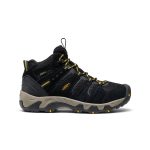 Men's Headout Waterproof Hiking Boot | Black/Lemon Curry