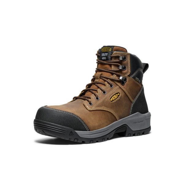 Men's Evanston 6 Insulated Waterproof Boot (Carbon Toe)  |  Bison/Black
