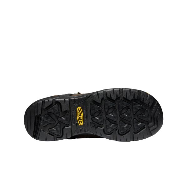 Men's Dover 8 Insulated Waterproof Boot (Carbon Toe) | Dark Earth/Black