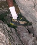 Men's Roam Trail Running Shoe | Dark Olive/Golden Cypress
