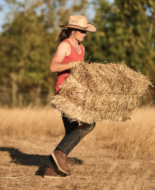 Women's San Jose 6 Boot (Aluminum Toe) | Gingerbread/Gum