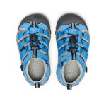 Little Kids' Newport H2  |  Azure Blue/Drizzle