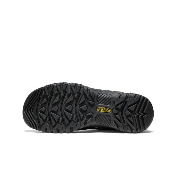 Men's Targhee IV Wide Waterproof Hiking Shoe  |  Bison/Black