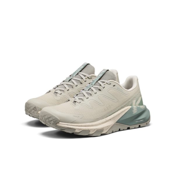Women's Targhee Apex Waterproof Hiking Shoe  |  Abbey Stone/Birch